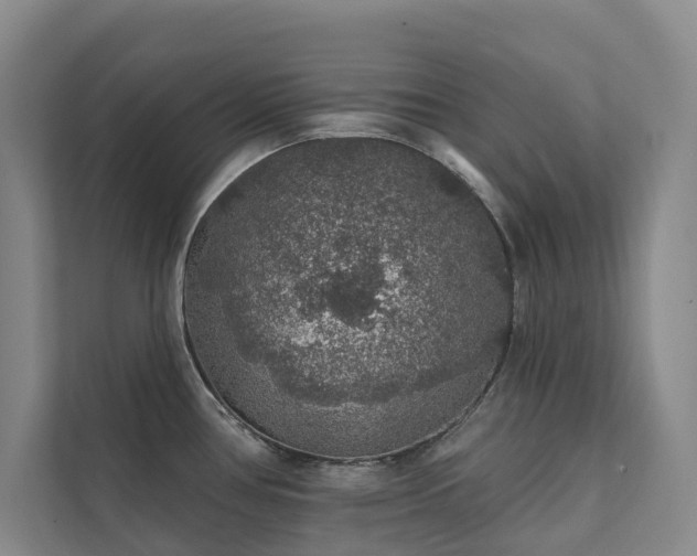 X0000111381386200907101117
