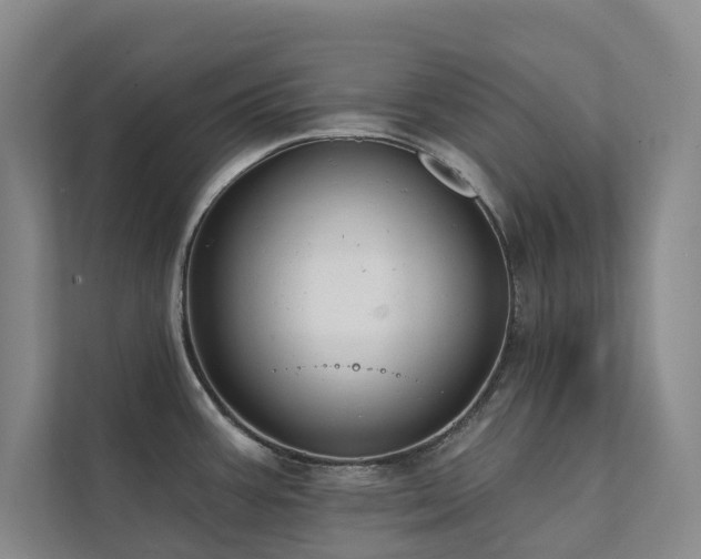 X0000111381387200907101117