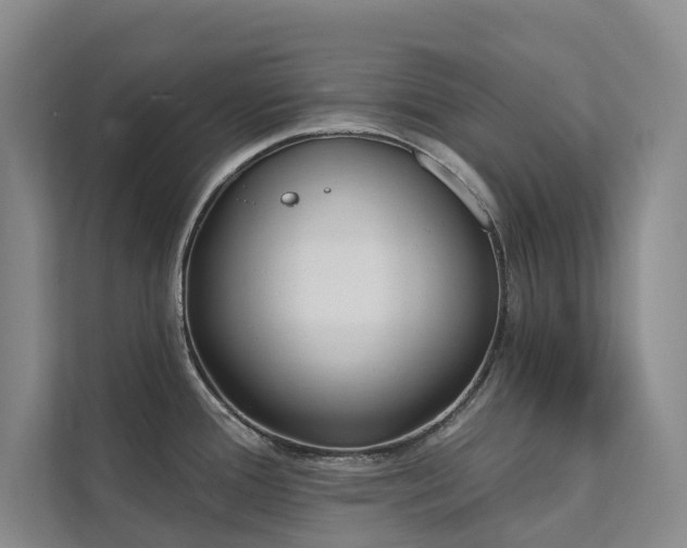 X0000111381388200907101117