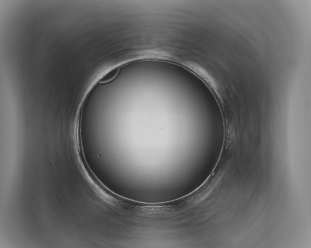 X0000111381391200907101117