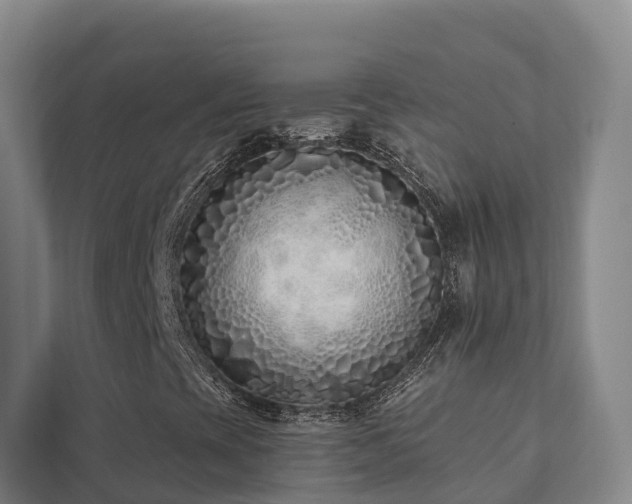 X0000111381393200907101116