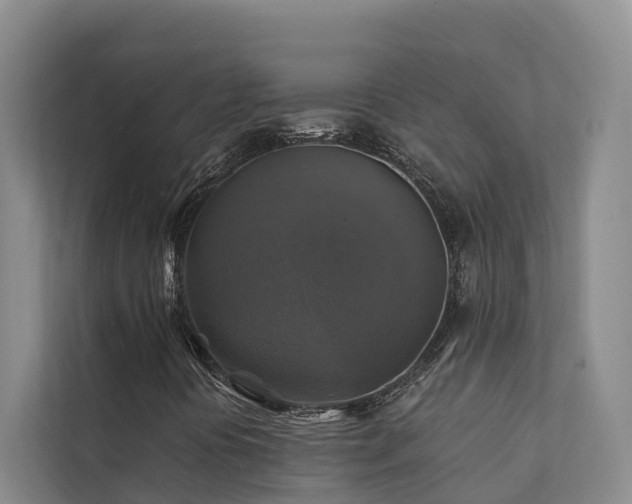 X0000111381394200907101116