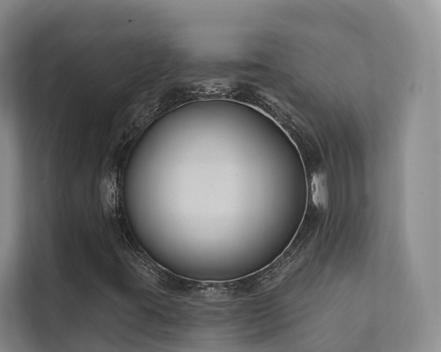 X0000111381395200907101116