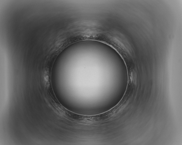 X0000111381396200907101116