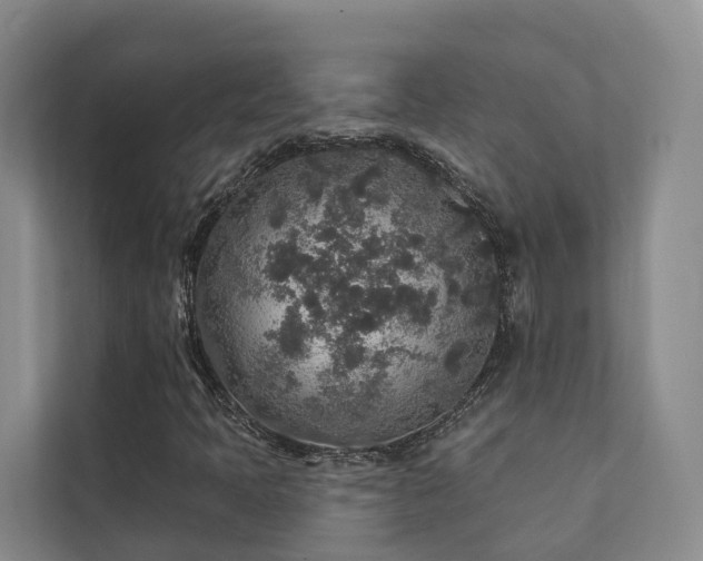 X0000111381397200907101116