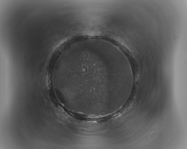 X0000111381398200907101116