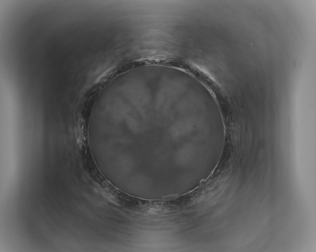 X0000111381399200907101116