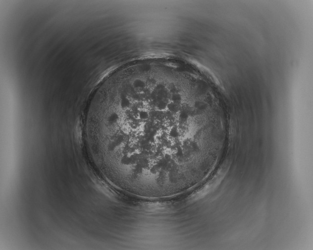 X0000111381401200907101116