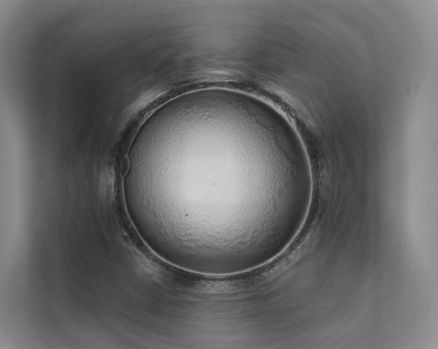 X0000111381402200907101116