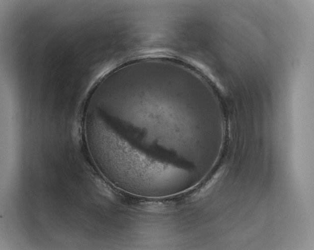 X0000111381405200907101116