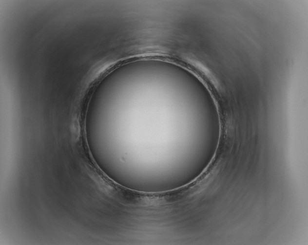 X0000111381407200907101117