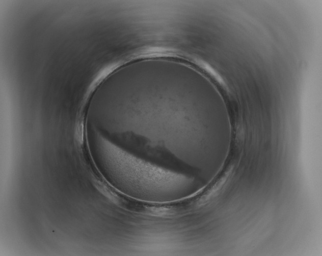 X0000111381413200907101117