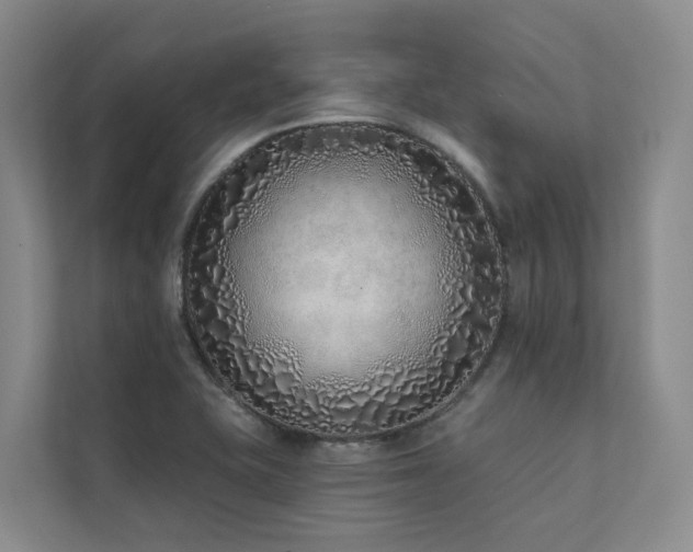 X0000111381415200907101117
