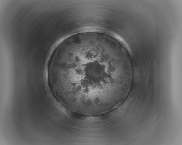 X0000111381419200907101117