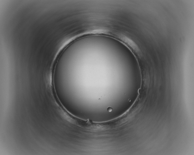 X0000111381420200907101117