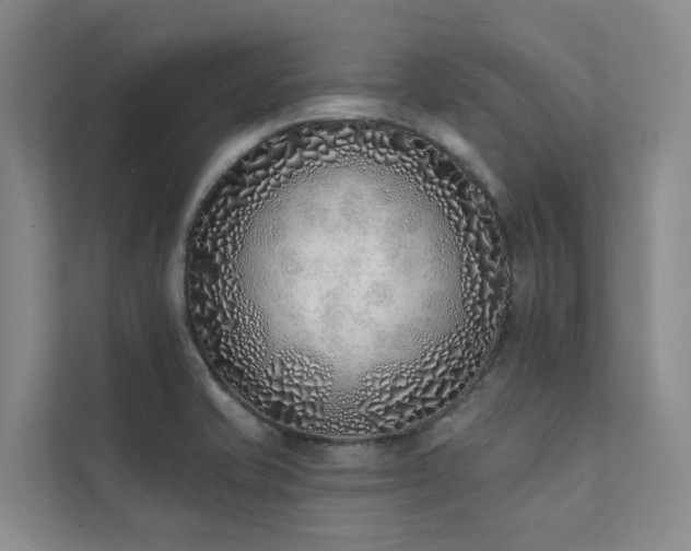 X0000111381421200907101117