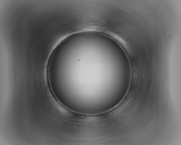 X0000111381423200907101117