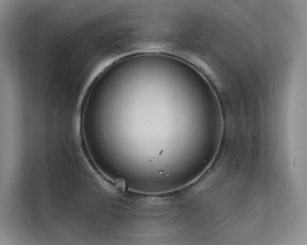 X0000111381424200907101117