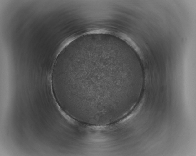 X0000111381425200907101117