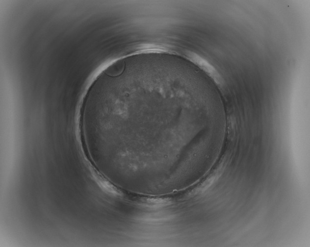 X0000111381427200907101117