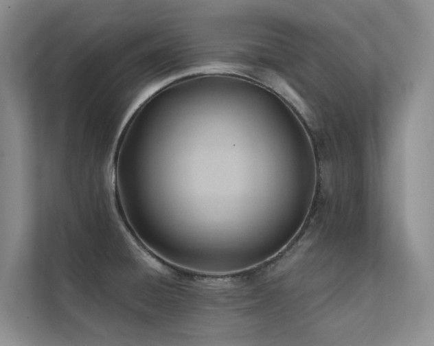 X0000111381428200907101117