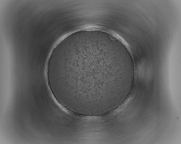 X0000111381429200907101117