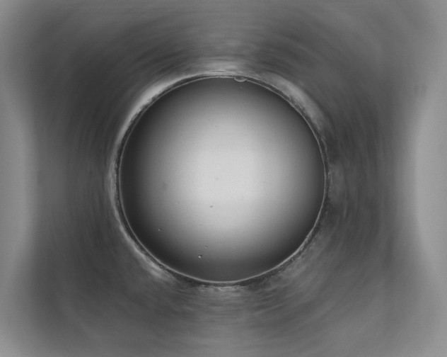 X0000111381432200907101117
