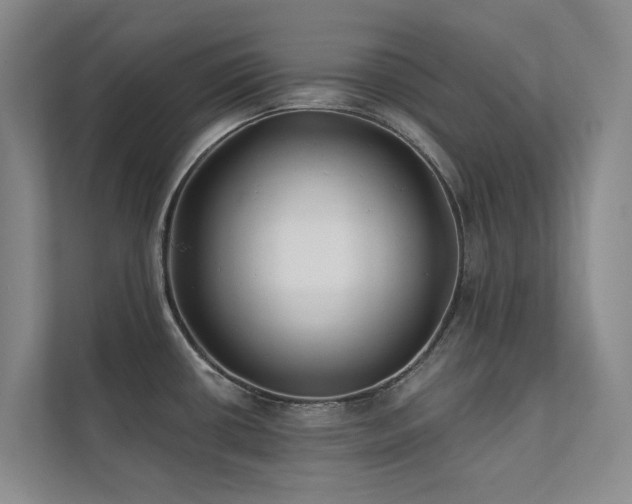 X0000111381434200907101117