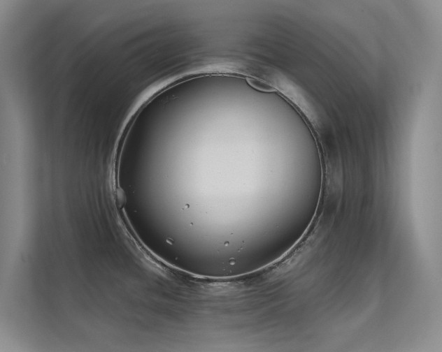 X0000111381436200907101117