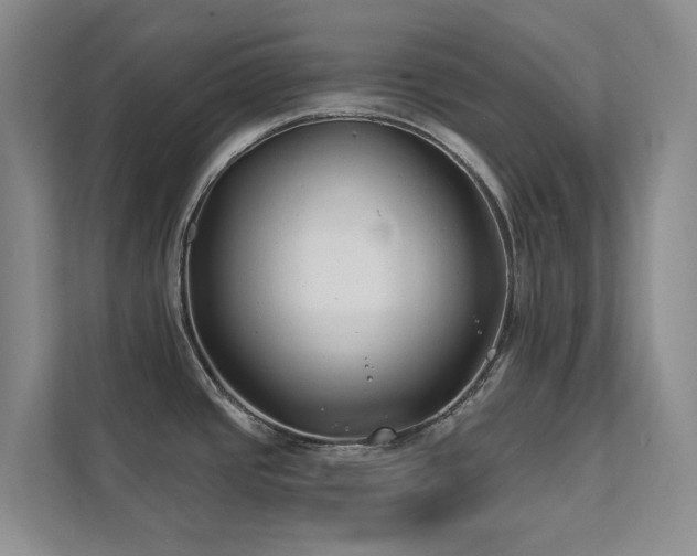 X0000111381437200907101117