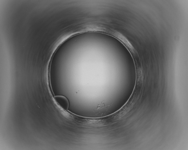 X0000111381439200907101117
