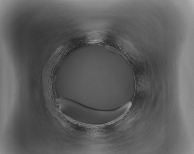 X0000111381441200907101116
