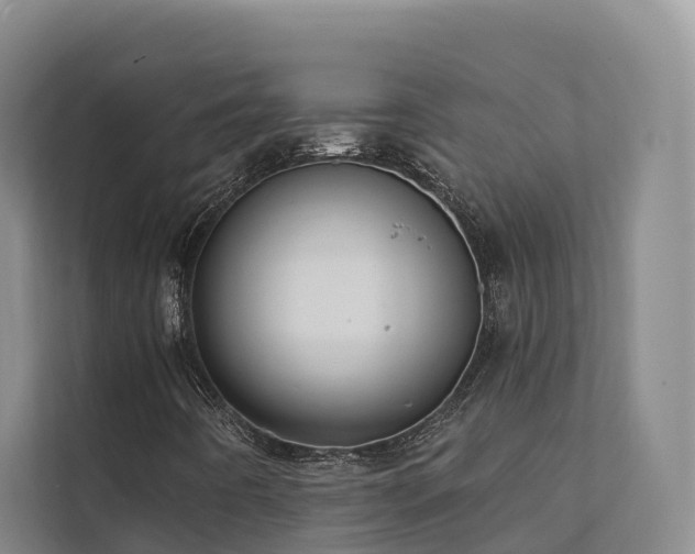 X0000111381442200907101116