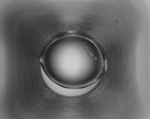 X0000111381443200907101116