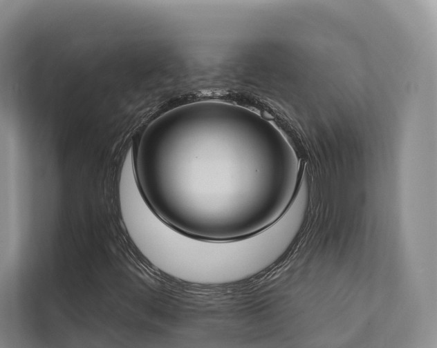 X0000111381444200907101116