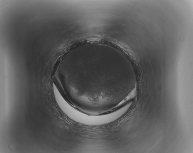 X0000111381445200907101116