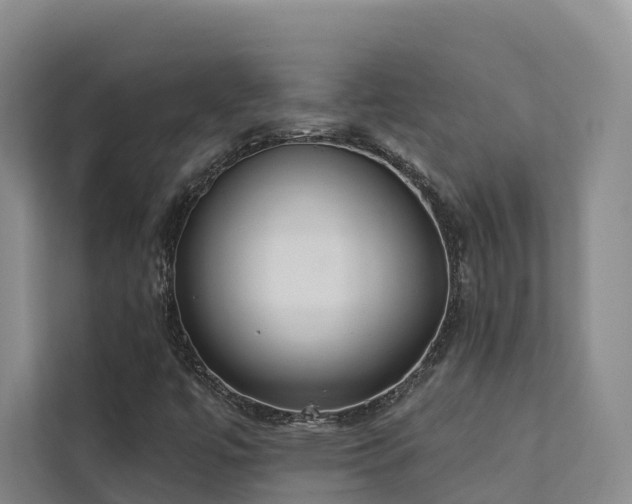 X0000111381447200907101116