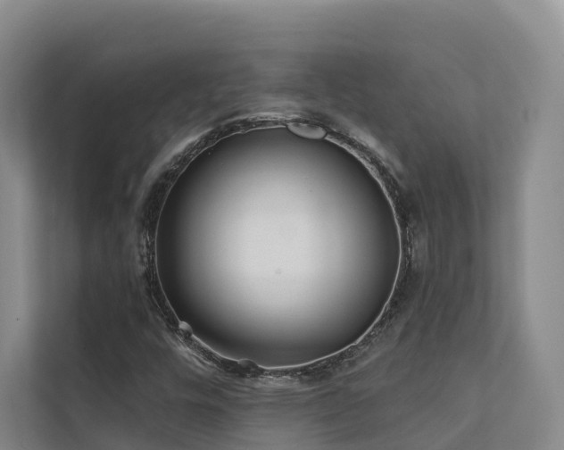 X0000111381448200907101116