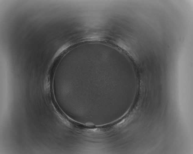X0000111381450200907101116