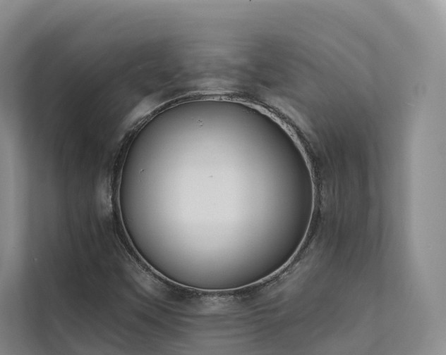 X0000111381451200907101116