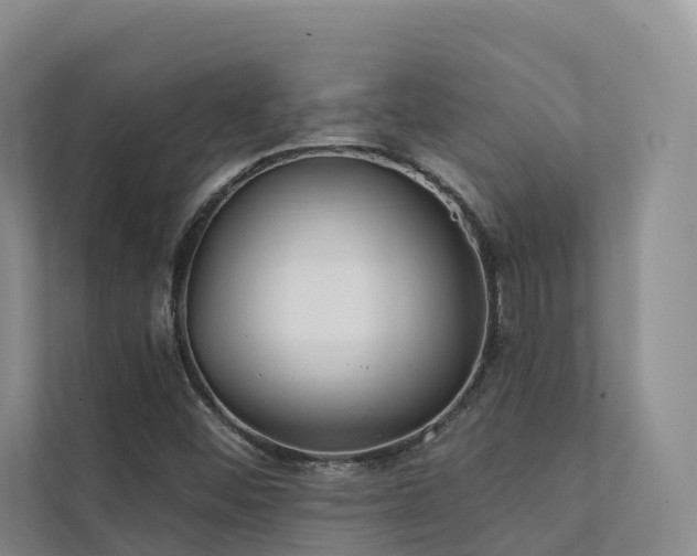 X0000111381452200907101116