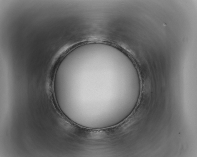 X0000111381454200907101116