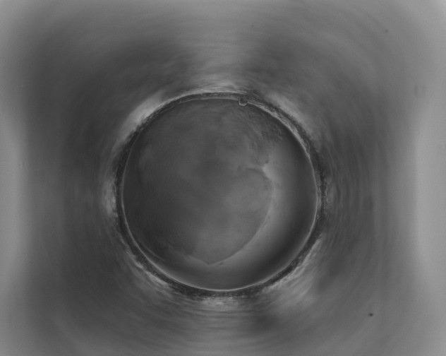 X0000111381455200907101116
