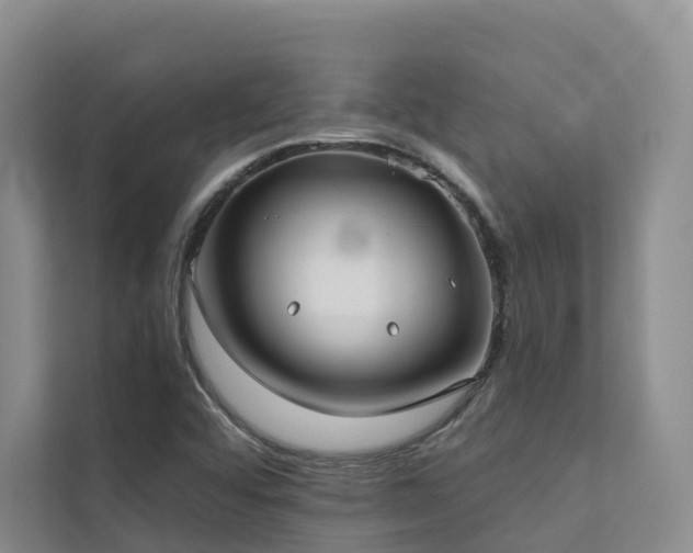 X0000111381456200907101116