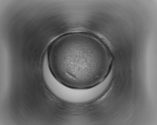 X0000111381457200907101116