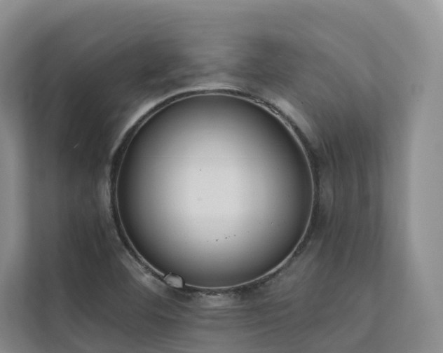 X0000111381460200907101116