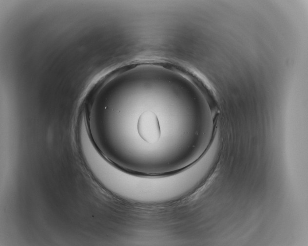 X0000111381461200907101116