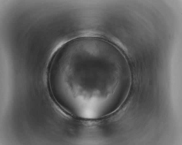 X0000111381463200907101116