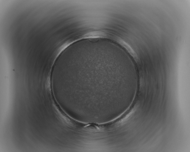 X0000111381465200907101116