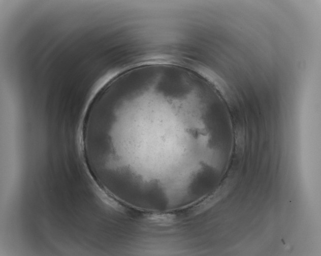 X0000111381466200907101116